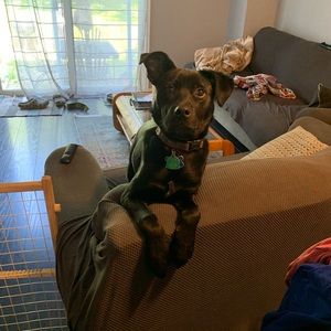 Meet your Posher, Matt